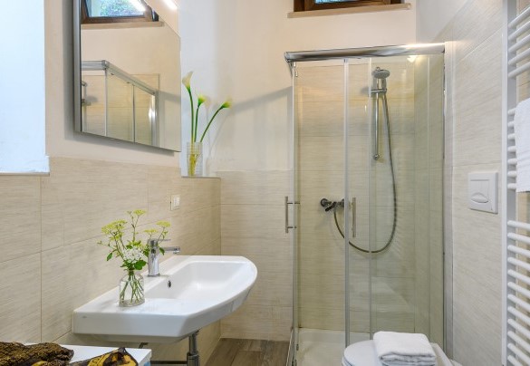 Ensuite bathroom with shower n.1 in the annex - Acquanera