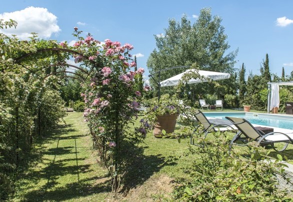  Roses as the protagonist and the beautiful swimming pool - Albachiara