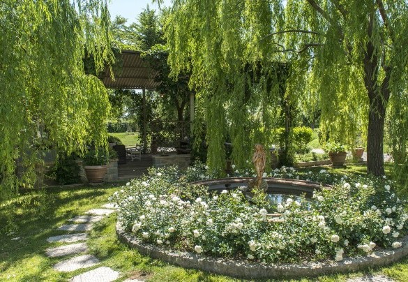 The fountain bordered with white roses - Albachiara