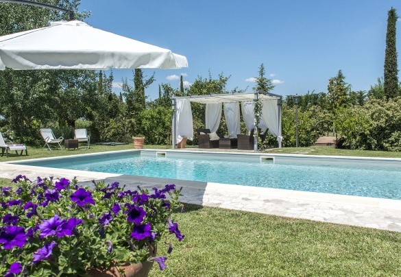 The beautiful swimming pool for exclusive use - Albachiara