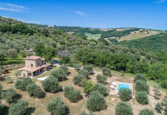 The farmhouse surrounded by the olive grove – Amandula