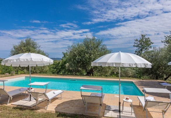 The terracotta-paved solarium houses sunbeds and umbrellas – Amandula