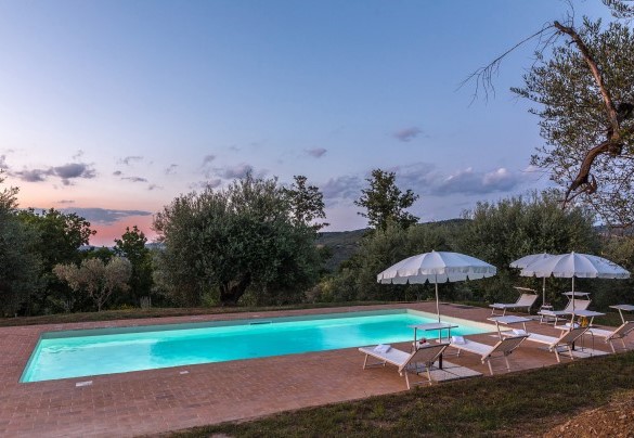 The terracotta-paved solarium houses sunbeds and umbrellas – Amandula