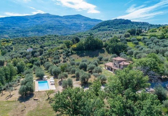The farmhouse surrounded by the olive grove – Amandula