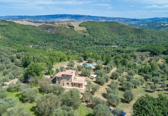 The farmhouse surrounded by the olive grove – Amandula