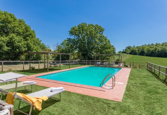 The solarium is lawned with sunbeds and two pergolas – Amantino