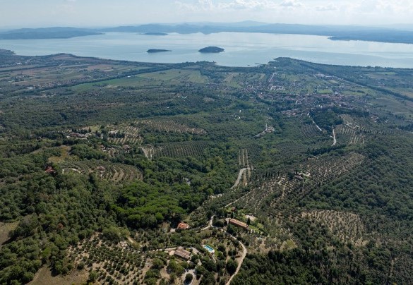 La proprietà si erge sulla collina di Tuoro che sovrasta il lago Trasimeno - Antiche Pietre