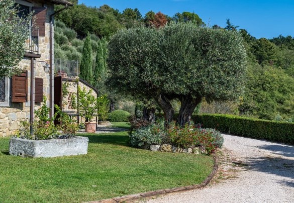 Il viale che conduce al cancello - Antiche Pietre