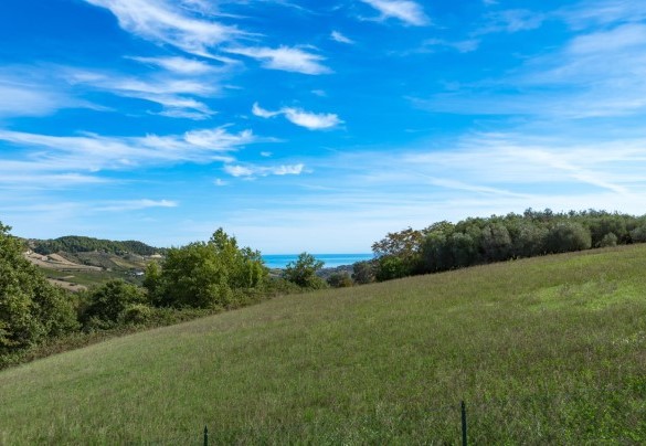Splendid view from the villa - Borgo da Monte 