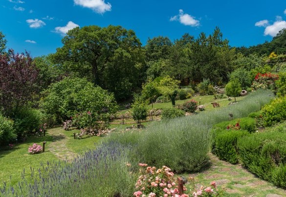 A five-hectare, fenced-in park constitutes the entire property that surrounds the house and forms the whole borgo – Borgo Paradiso