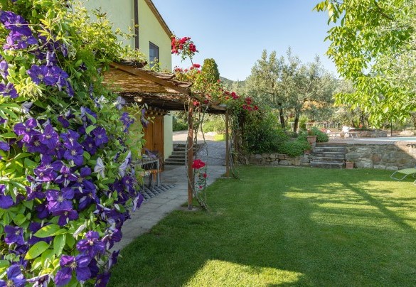 Largo pergolato incorniciato da rampicanti di passiflora e di rose – Buca delle fate