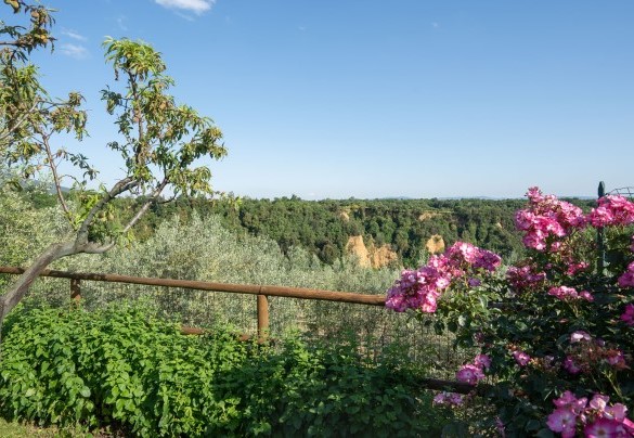 Il giardino è caratterizzato da zone a prato delimitate da bordure di aromatiche mediterranee e punteggiato qua e là da ulivi, cespugli di rose ed oleandri, e da tanti alberi da frutto come peschi, susini, noci, meli ed albicocchi – Buca delle fate