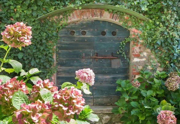 Dettaglio del giardino - Ca Cantoni