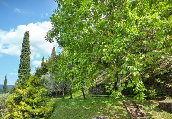 La Villa si trova immersa dal verde del suo grande giardino privato - Ca Cantoni