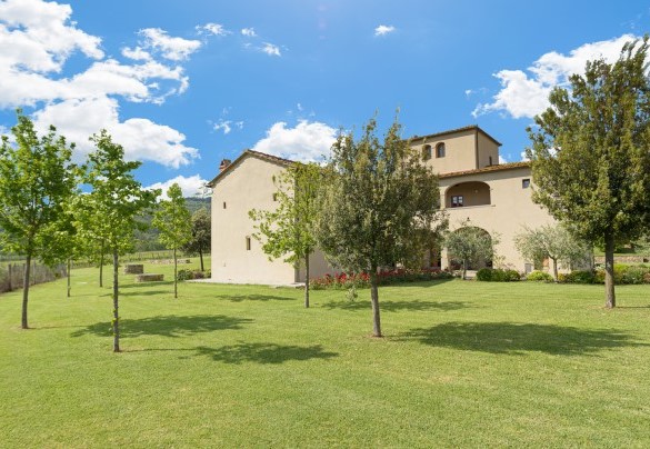 In the 10.000 sq mt of completely enclosed park is a large olive grove, suitable for strolling in – Ca Maggiore