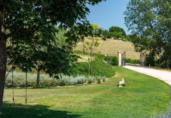 The villa is located in a wonderful hilly position, overlooking the olive groves and vineyards of the Romagna countryside – Ca’ Pellicciano