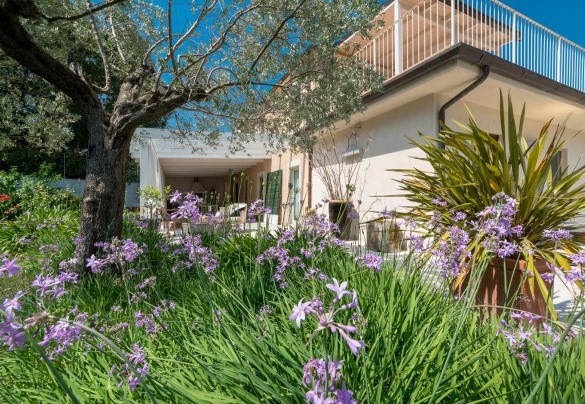 Giardino fiorito davanti alla villa - Casa Angel 6