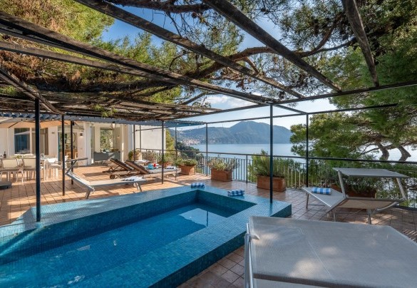 A beautiful specimen of maritime pine provides large oases of shade - Casa Chiara