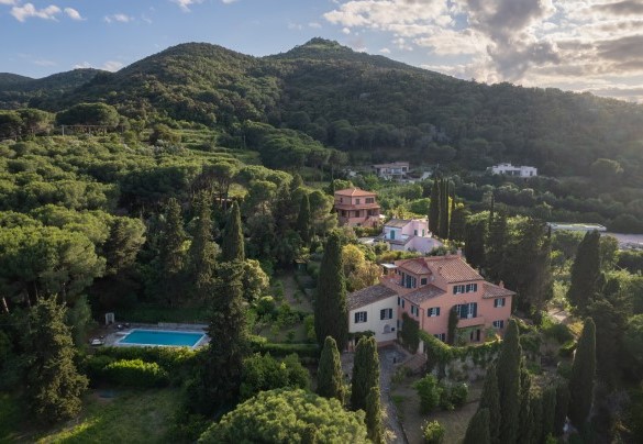 La proprietà è circondata dal prestigioso parco di circa 5000mq, con oltre cento piante, olivi, pini e alberi ad alto fusto - Casa del Duca