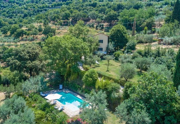 The park of 1000 sq m, of which about 500 sq m are garden and the rest terracing with olive trees - Casa del Sole 