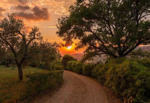 The dirt road at sunset - Casa del Sole