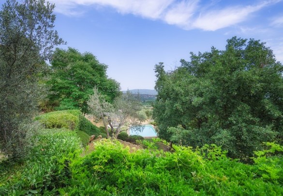 The well-kept garden surrounding the farmhouse and the pool area - Casa di Pan    