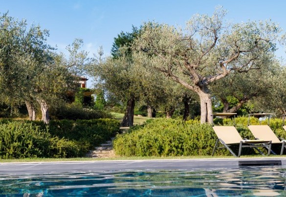 La piscina è affacciata sul paesaggio del Parco San Bartolo – Casa Eugenia