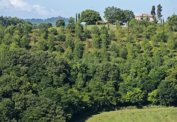 Splendida vista sul Parco del Monte San Bartolo – Casa Eugenia