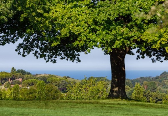 Vista panoramica dal parco della villa – Casa Eugenia