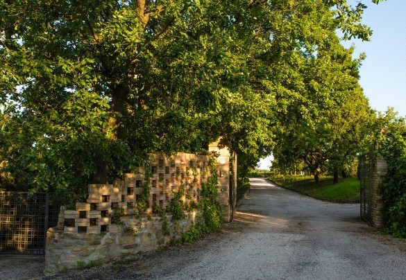 Ingresso con viale alberato – Casa Eugenia 