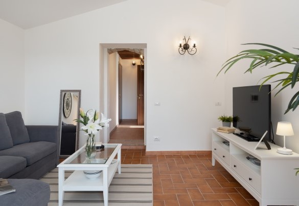 Zona divano e TV con vista sulle colline Toscane - Casa la Fenice 