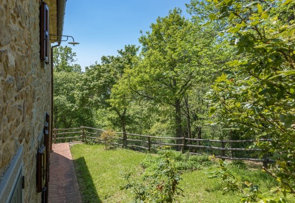 Tall trees such as oaks, holm oaks and chestnuts prevail all around the houset - Casa Largnano  