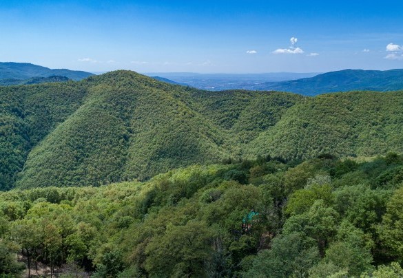 Untouched nature, in Ranchetto, at 683 m asl and a few km from Castiglion Fiorentino - Casa Largnano