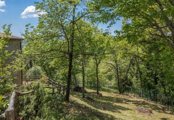 The peace, silence and intact nature that this place offers is certainly the same as a century ago - Casa Largnano 