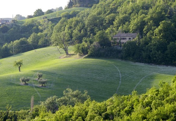 La villa offre un panorama della campagna marchigiana straordinariamente incontaminata – Casa Melograno