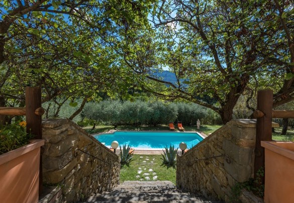 La scalinata in pietra che conduce alla piscina - Casa Pippin