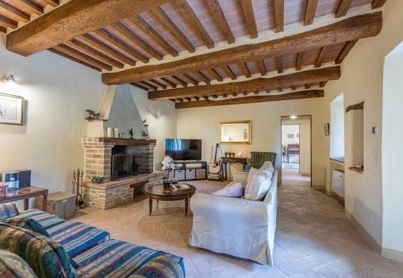 Salotto arredato con comodi divani, smart TV e camino - Casa Pippin