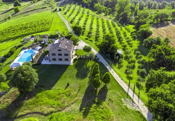 Bird’s eye view of the property with its characteristic olive groves - Casa Sant'Elia