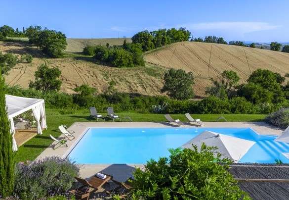 The swimming pool with the view on the olive grove and the Marche hills - Casa Sant'Elia