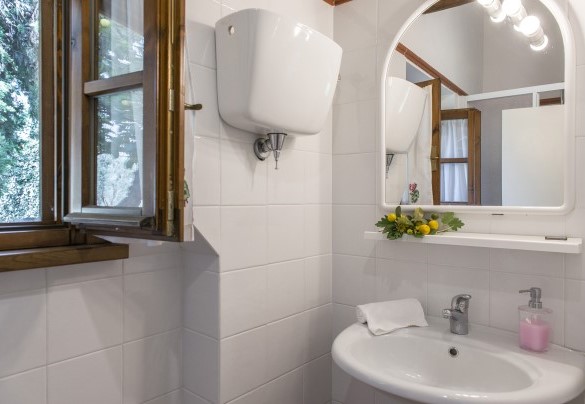 En suite bathroom with shower on the ground floor (annex) - Casa Torrione   