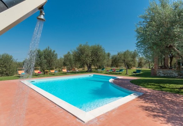 The swimming pool is bordered by hedges and shading by the olive trees - Casa Torrione