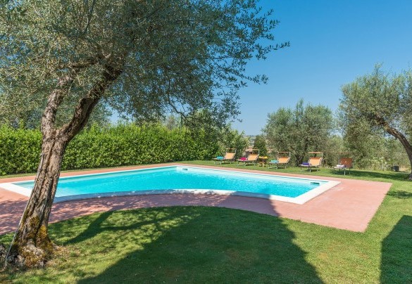 The swimming pool embraced by centuries-old olive trees - Casa Torrione