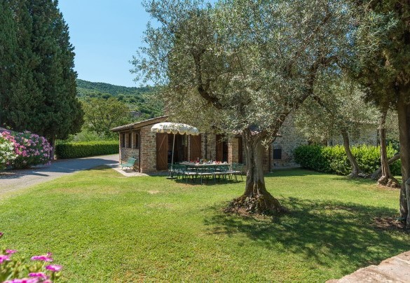 All around the house there is a large park of about 1000 sq m fenced in with wall and hedge - Casa Torrione