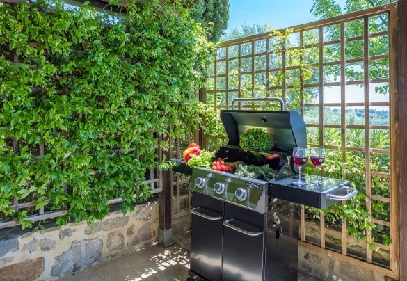 The barbecue under the romantic pergola - Casal Parro 