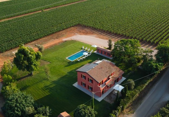 The property surrounded by the family vineyard - Casale Ansedonia