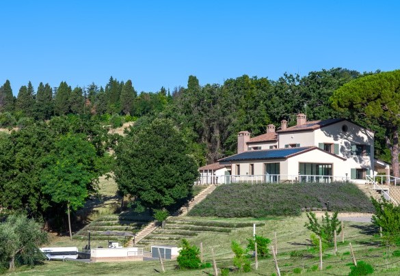Large modern villa surrounded by the olive trees - Casale Astralis