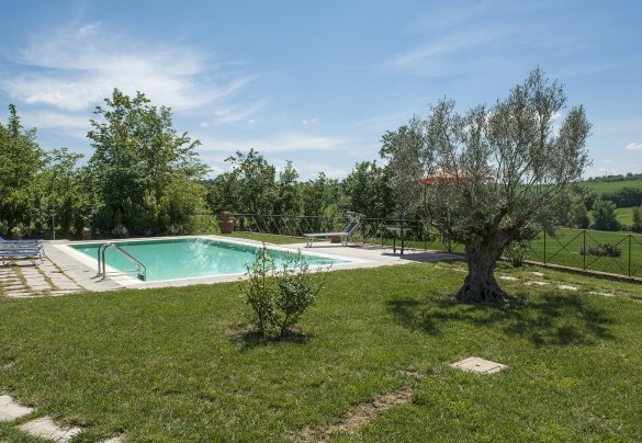La piscina abbracciata da alberi da alto fusto - Casale Cinque Valli  