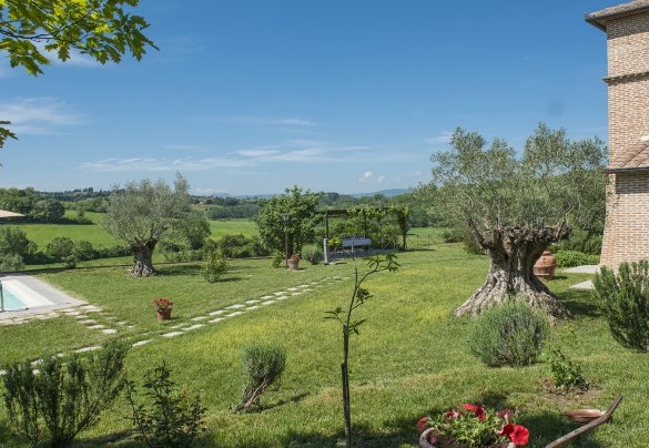 La piscina e il casale visti dal giardino - Casale Cinque Valli 