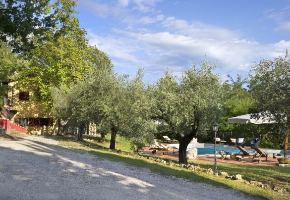 The entrance from the parking lot - Casale degli Ulivi