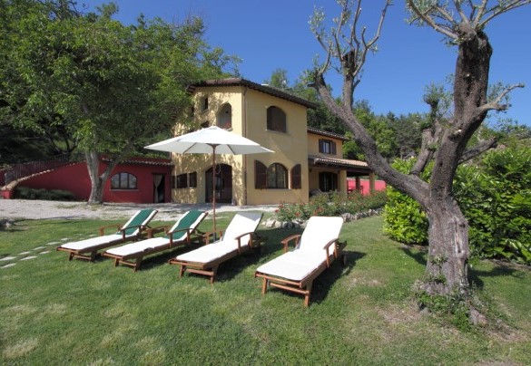 Large well-kept garden with cool shaded areas - Casale degli Ulivi
